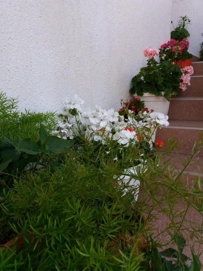 Apartman Sunce Raslina Luaran gambar