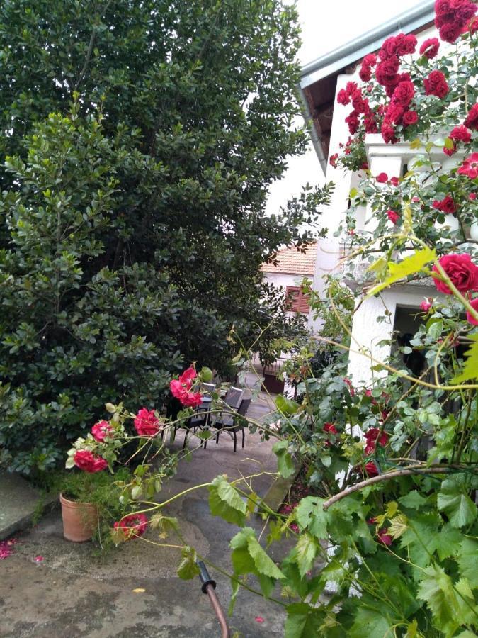 Apartman Sunce Raslina Luaran gambar