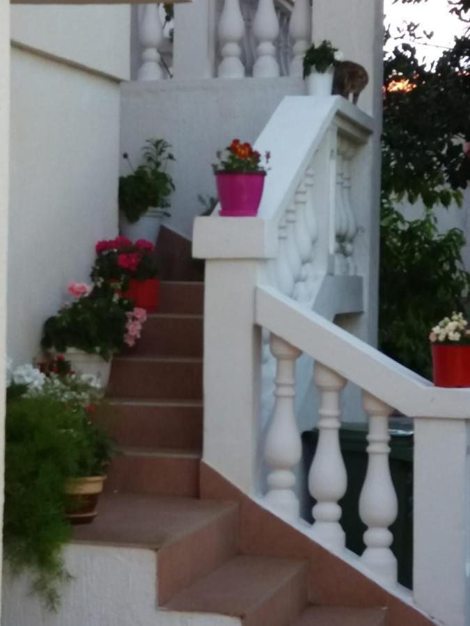 Apartman Sunce Raslina Luaran gambar