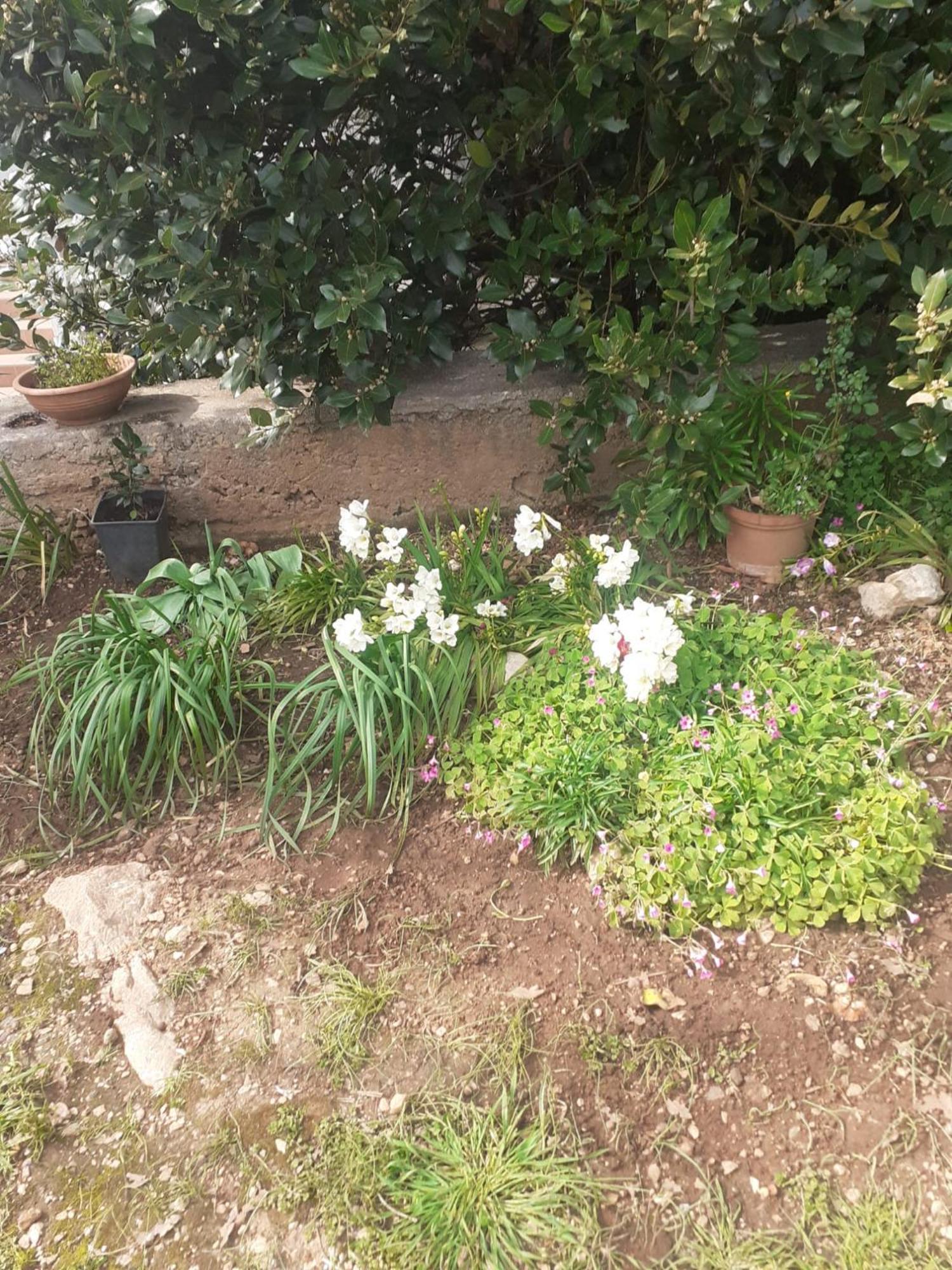Apartman Sunce Raslina Luaran gambar
