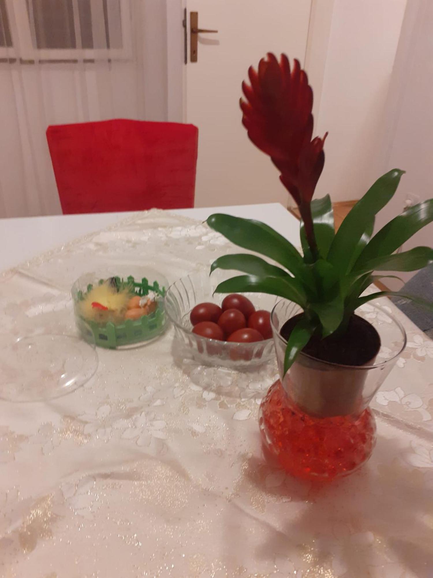 Apartman Sunce Raslina Luaran gambar