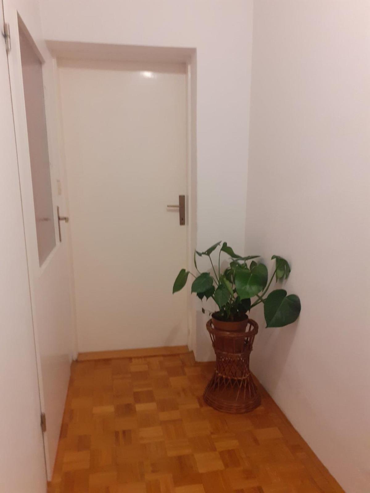 Apartman Sunce Raslina Luaran gambar